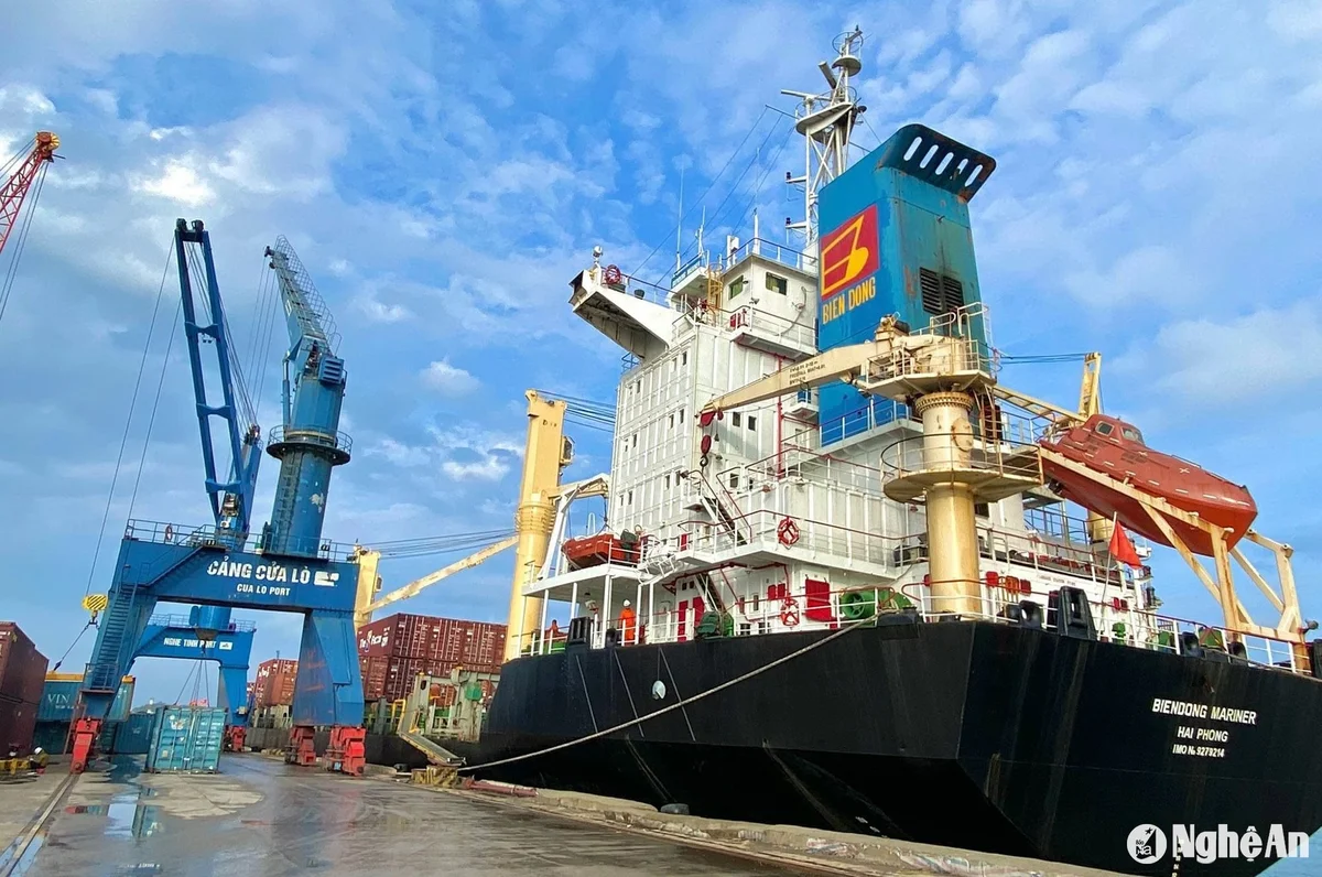 bna_tau-container-cap-cang-cua-lo.-anh-thu-huyen(1).jpeg