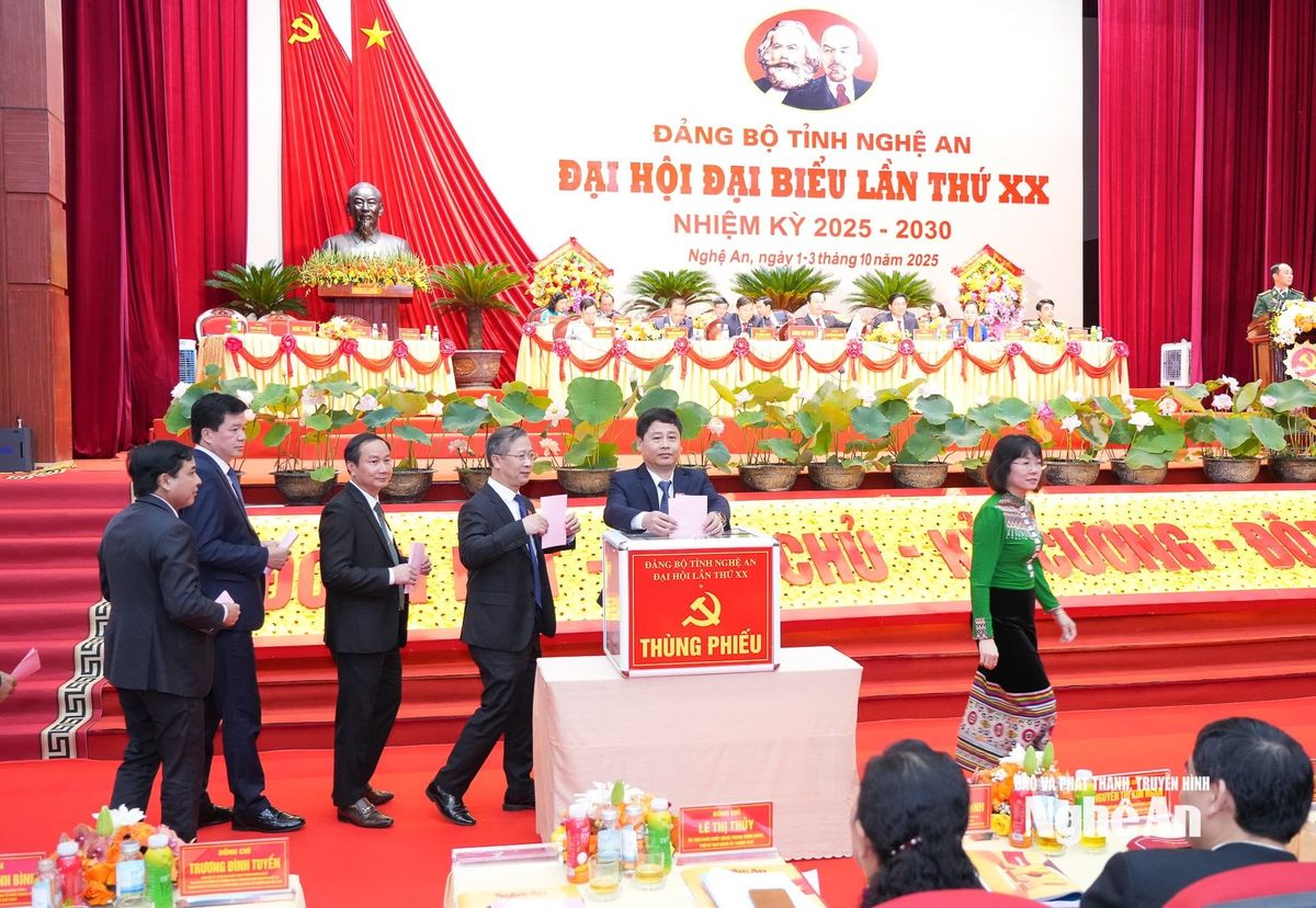 bna_dai-hoi-dang-bo-phieu-4(1).jpg