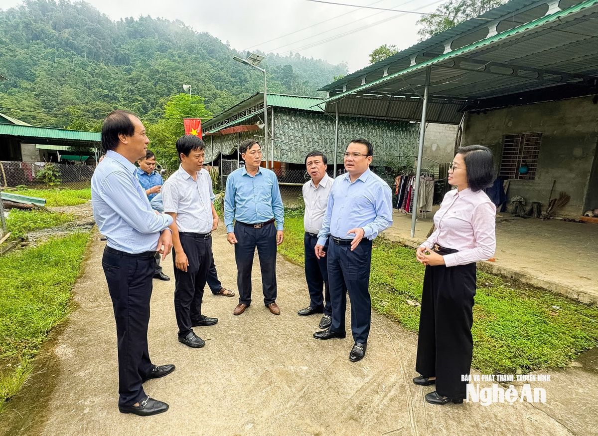 bna_-a-vinh-5.jpg