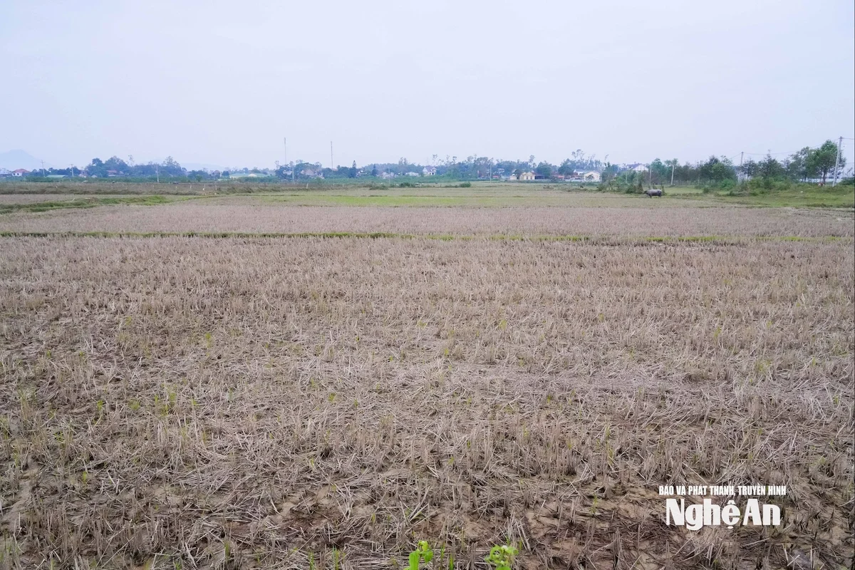 bna_-tai-dinh-cu.jpg