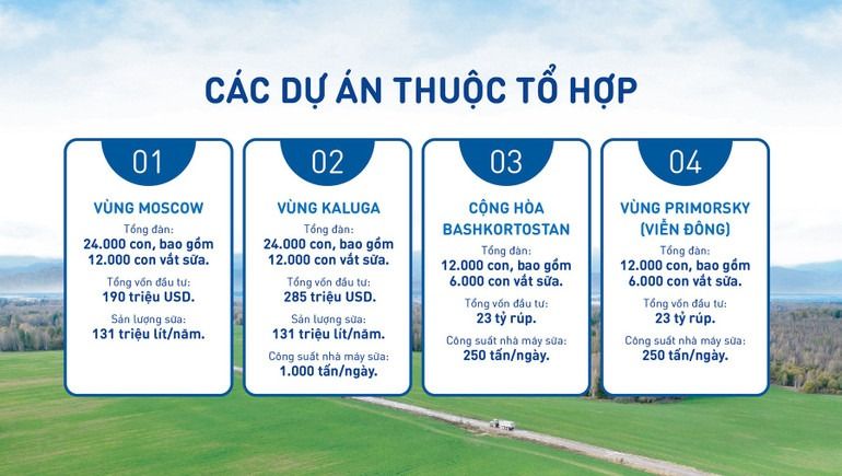 to-hop-du-an-tai-nga.jpg