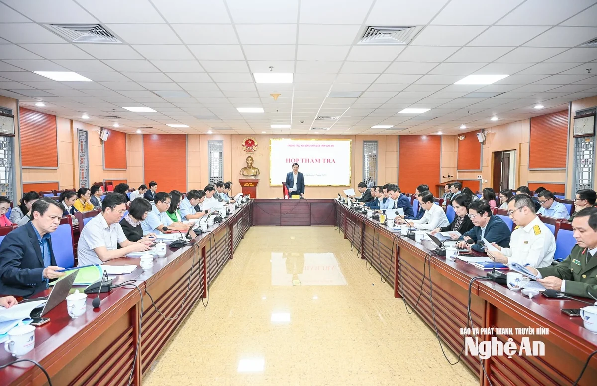 bna_hop-tham-tra-8.jpg