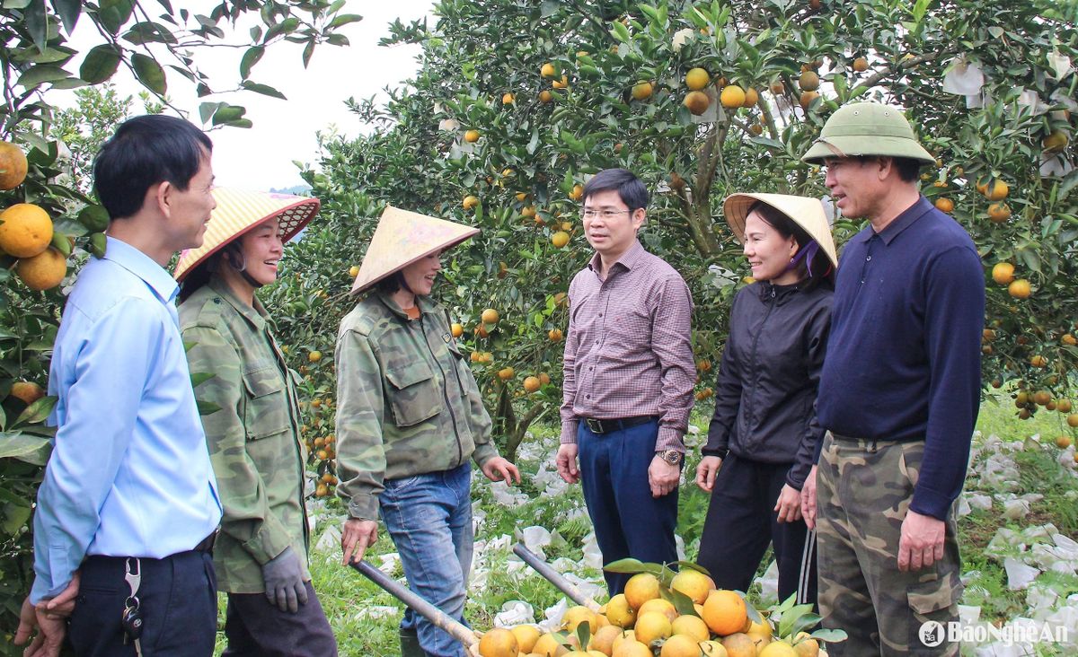 bna_-can-bo-huyen-thanh-chuong-tang-cuong-di-co-so-gan-dan-sat-dan.-.jpg