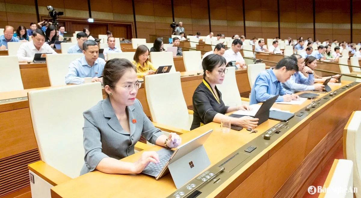 bna_vo-thi-minh_sinh.jpg