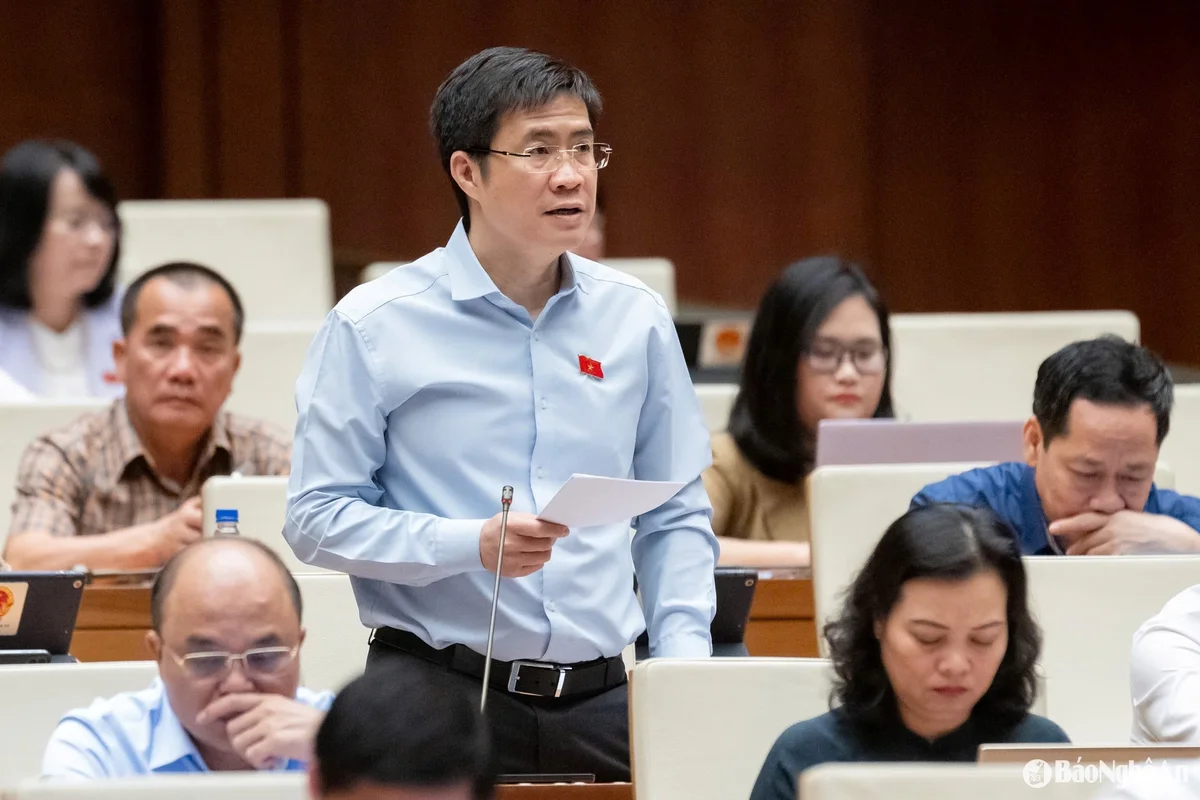 bna_hoang-minh-hieu.jpg