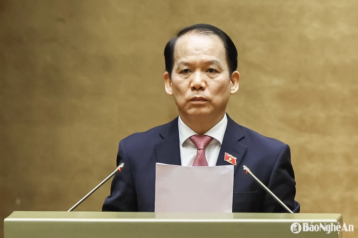bna_hoang-thanh-tung.jpg