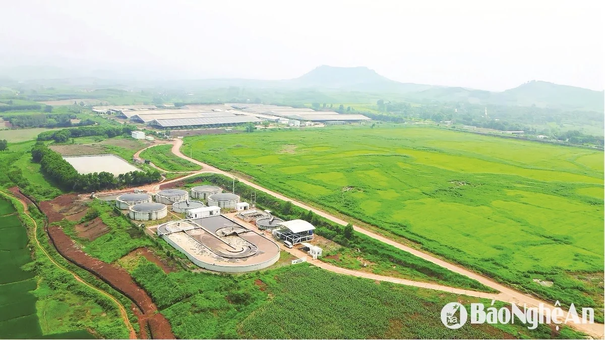 bna_-mot-phan-quang-canh-nha-may-va-trang-trai-th.jpg