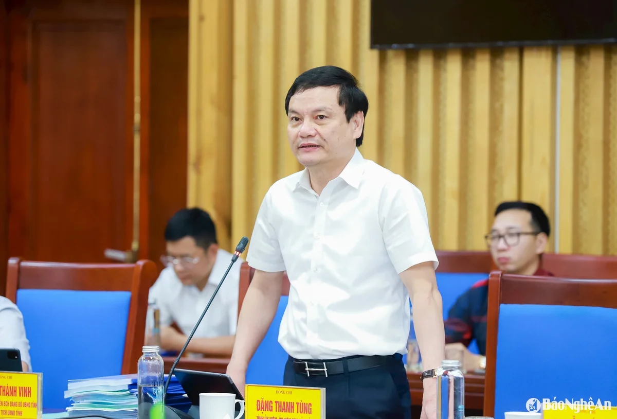 bna_dang-thanh-tung-2.jpg
