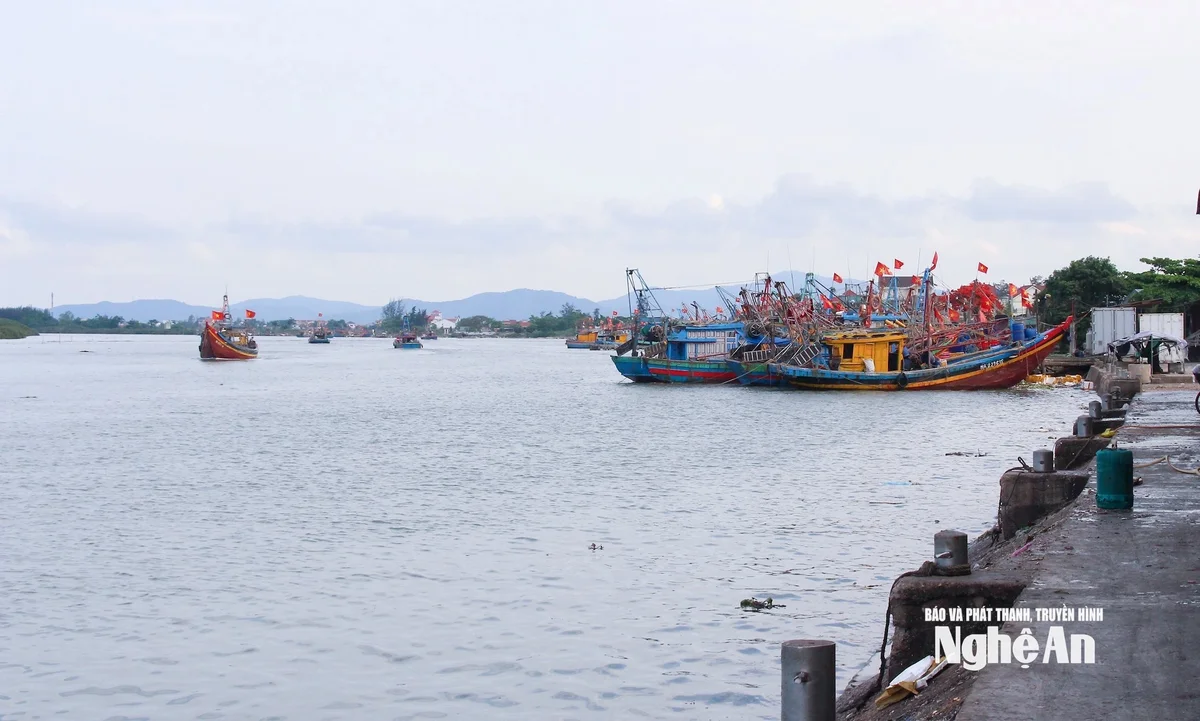 bna_-phat-trien-kinh-te-bien-la-mot-trong-nhung-tru-cot-quan-trong-cua-tung-dia-phuong-co-bien-va-cua-tinh.-anh-mai-hoa.jpg