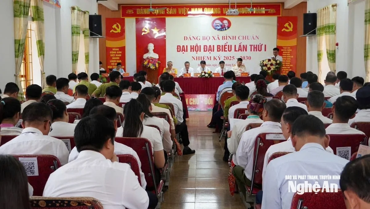 bna_dh8.jpg
