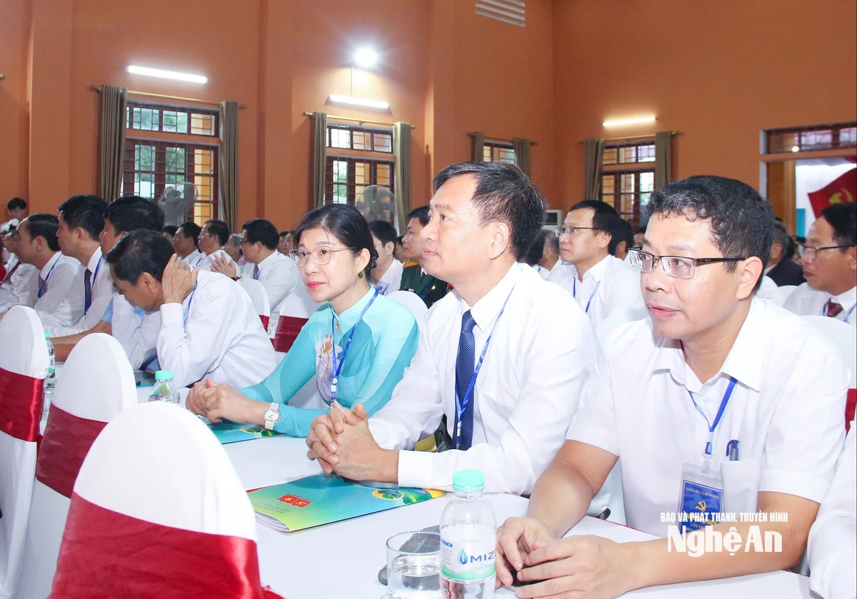 bna_-1-copy.jpg