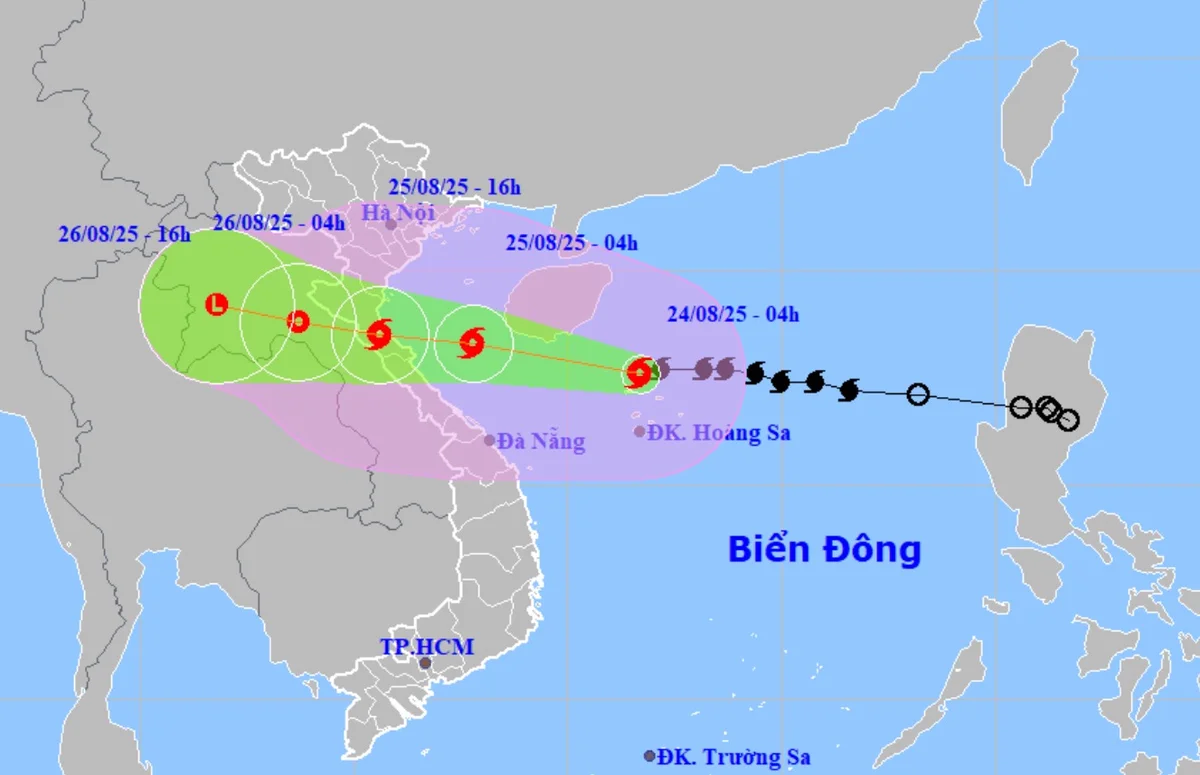 bao-so-5-nam-2025-17559885000962055176391.png