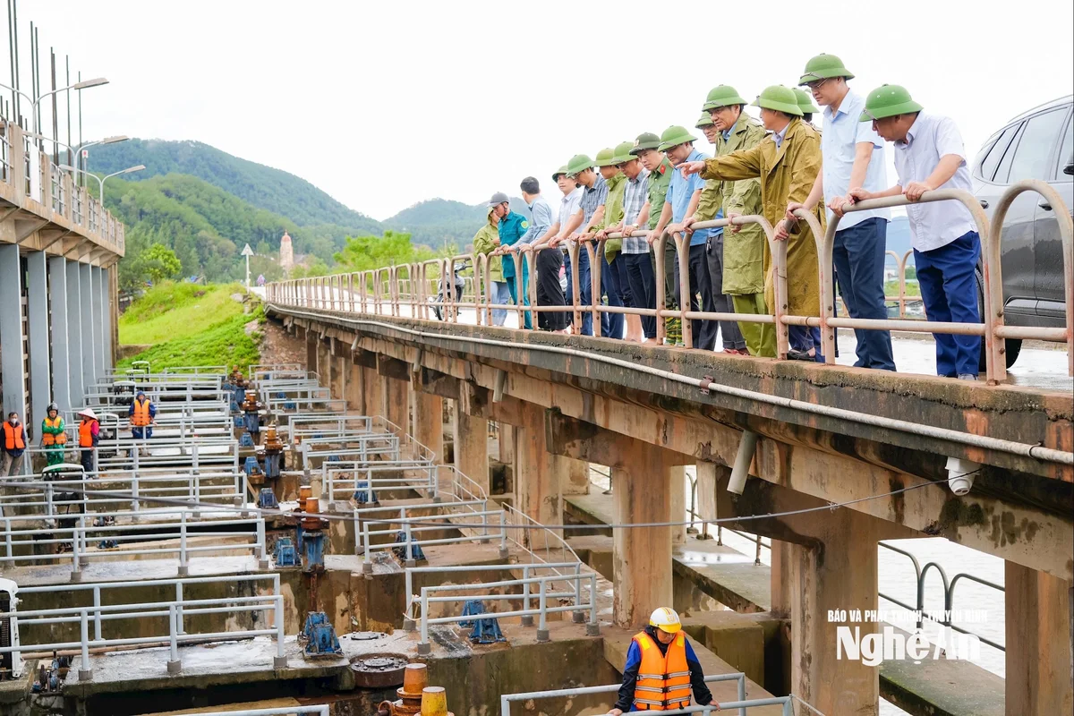 bna_-nghi-quang.jpg