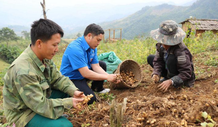 Từ ruộng đồng đến thị trường: đường đi của giá trị nông sản Nghệ An