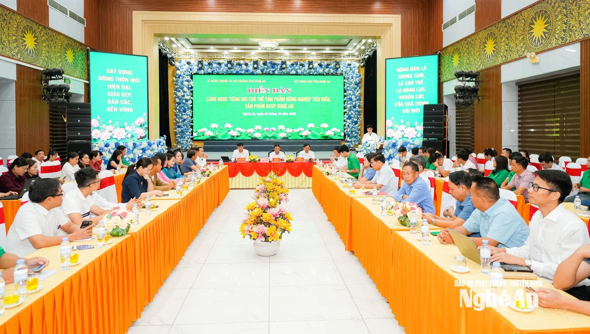 quang-canh-hoi-nghi.jpg