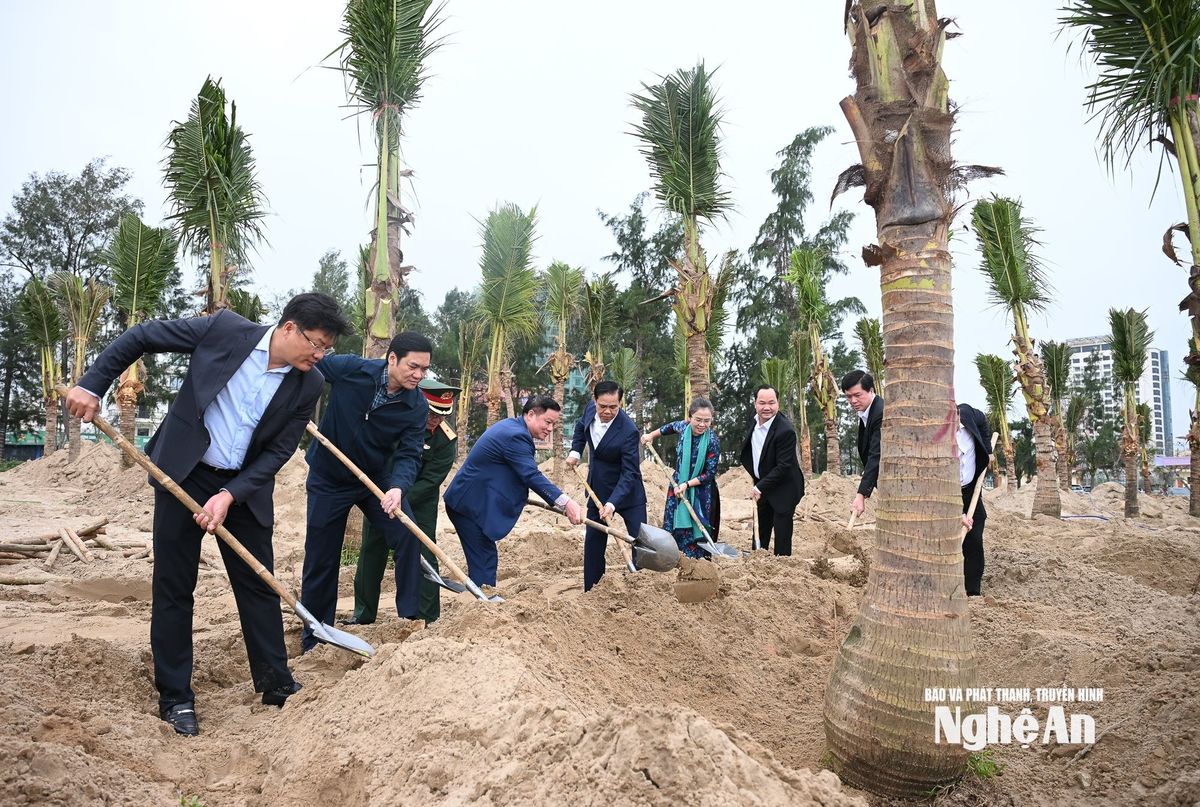bna_tet-trong-cay-15.jpg