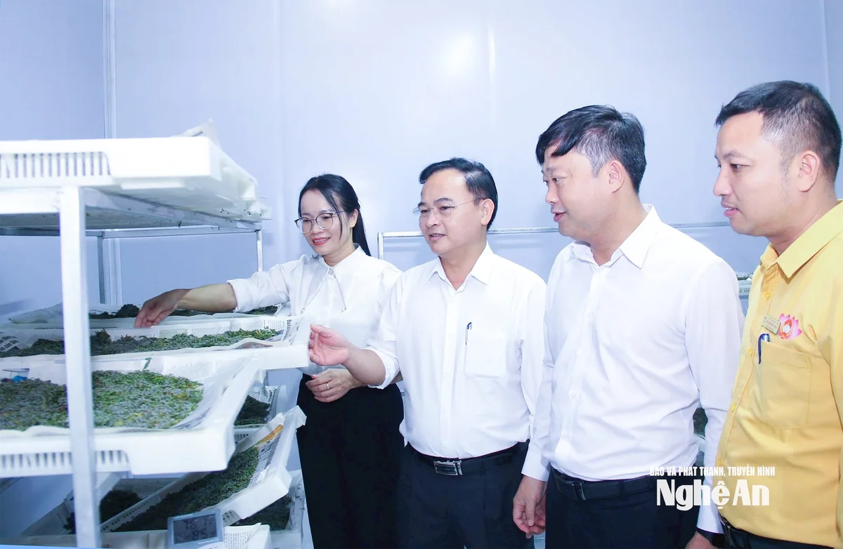 bna_-can-bo-xa-thuan-trung-kiem-tra-mo-hinh-nuoi-va-cung-ung-giong-tam-tren-dia-ban.-anh-mai-hoa-ff35bd7628892bbdb8fa2ce040c58c3e-copy.jpg