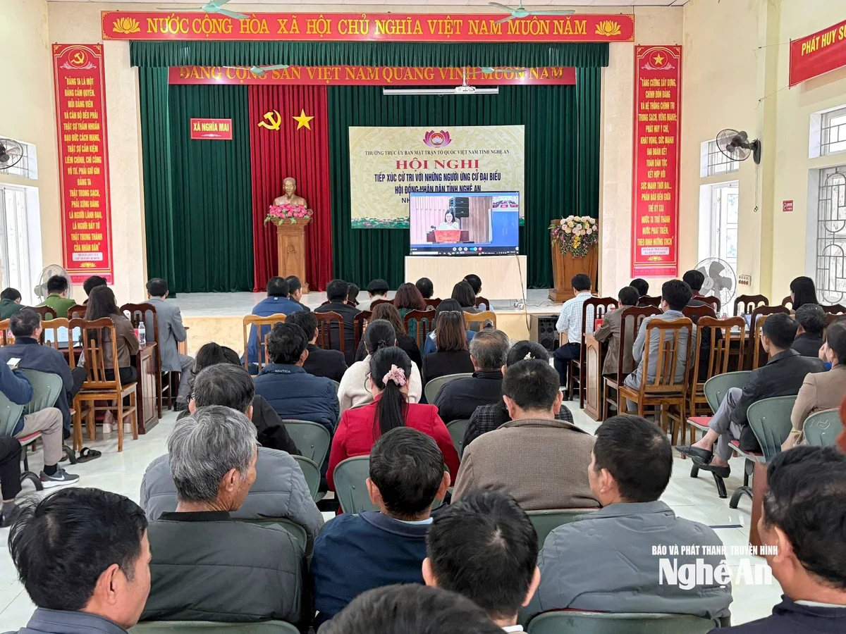 quang-canh-tai-diem-cau-xa-nghia-mai.jpg