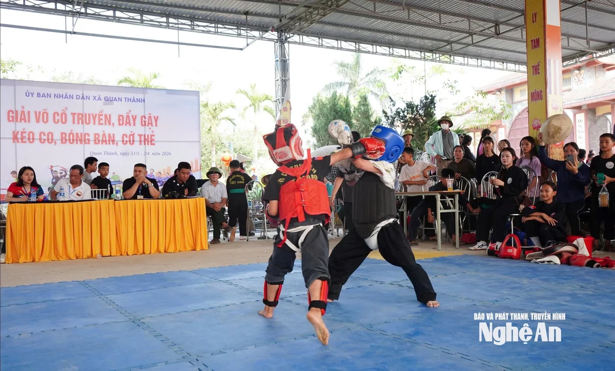 bna_nhung-gam.jpg