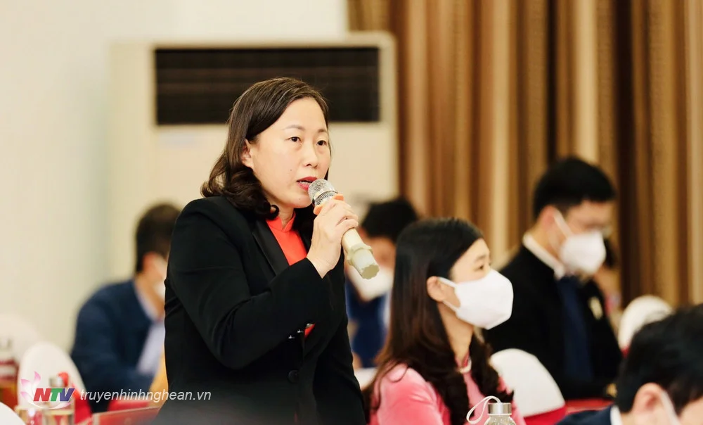 dai-bieu-phan-thi-minh-ly-yen-thanh-dat-cau-hoi--1.jpg