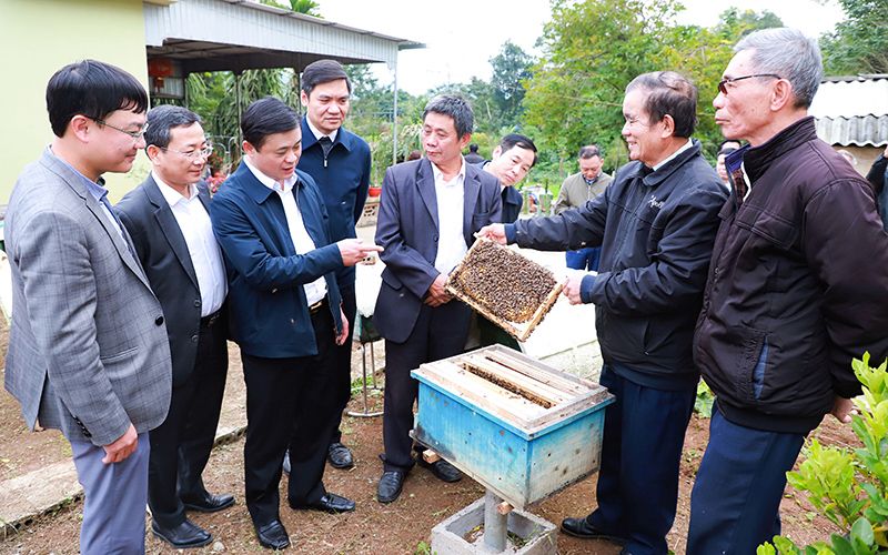 bi-thu-tinh-uy-nghe-an-thai-thanh-quy-thu-ba-ben-trai-tham-hop-tac-xa-nuoi-ong-mat-tay-hieu-thai-hoa.jpg