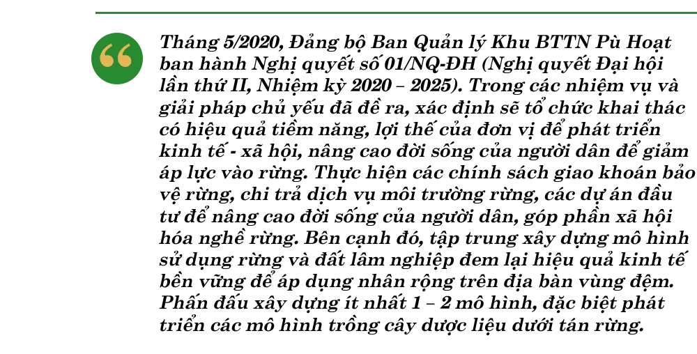 them-xanh-dat-que-box2.png
