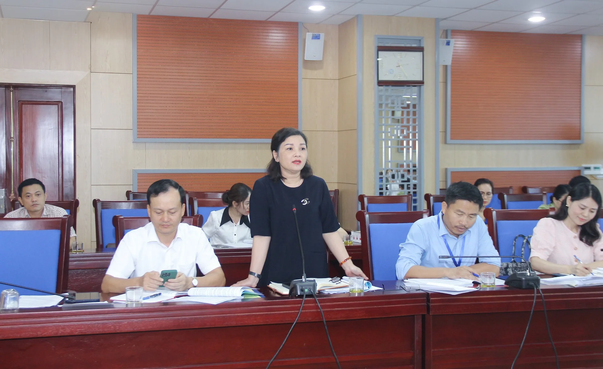 tham-tra-mot-so-du-thao-nghi-quyet-trinh-hdnd-tinh--n3.jpg