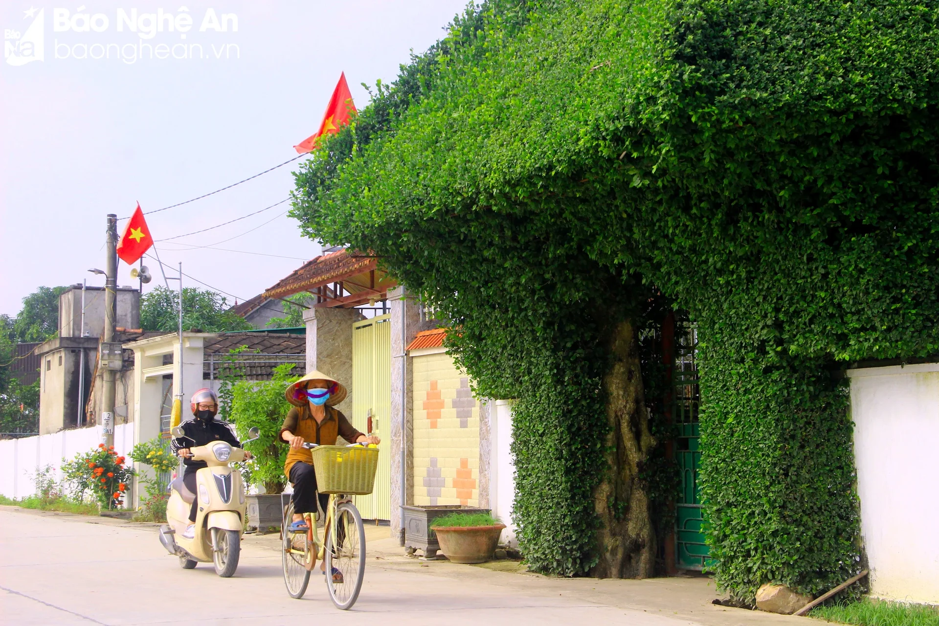 bna-hung-tan-2-7687.jpg.webp