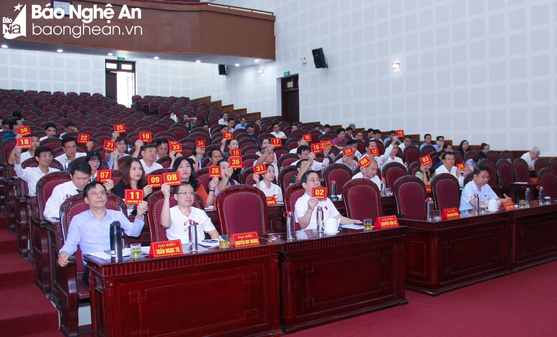 bna-hd8-3205.jpg.webp
