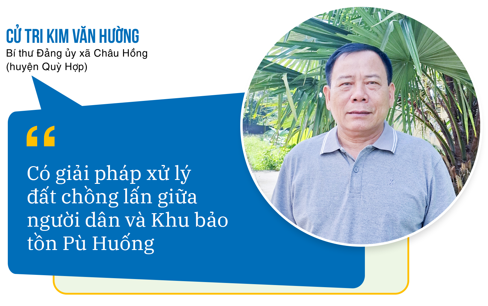 cu-tri-kim-van-huong.png